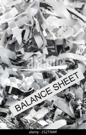 Frammenti di carta con la parola chiave bilancio, foto simbolica per la distruzione dei dati, bilanci e contabilità Austria Foto Stock