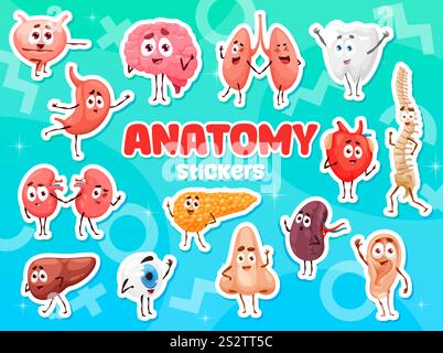 Cartoni animati personaggi organo umano confezione adesivi. Set di adesivi vettoriali per i bambini di anatomia del corpo umano. Cuore, cervello, rene e polmoni, denti, utero organi interni allegri personaggi dei cartoni animati Illustrazione Vettoriale