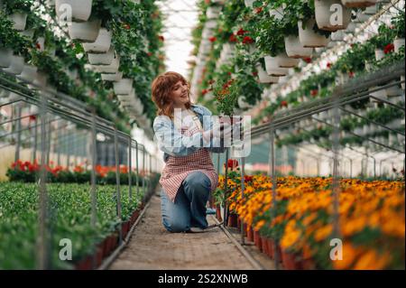 Ritratto di donna giardiniere sorridente allo zenzero inginocchiato alla serra circondato da fiori e piante e che tiene in mano la vaso di fiori. Felice fiorista con Foto Stock