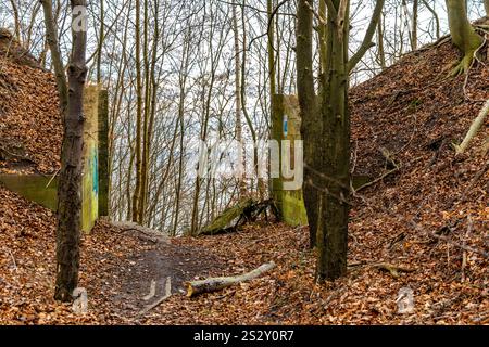 Sentiero a piedi sulla scogliera Redlowski vicino a Gdynia, sentiero per turisti, monumenti militari nascosti nella foresta dai tempi della seconda guerra mondiale Foto Stock