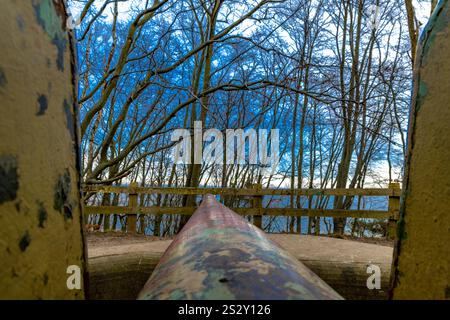 Pozzi di fuoco nella foresta sulla costa di Gdynia, monumenti militari, posizioni di artiglieria, luoghi storici della seconda guerra mondiale Foto Stock