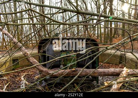 Pozzi di fuoco nella foresta sulla costa di Gdynia, monumenti militari, posizioni di artiglieria, luoghi storici della seconda guerra mondiale Foto Stock