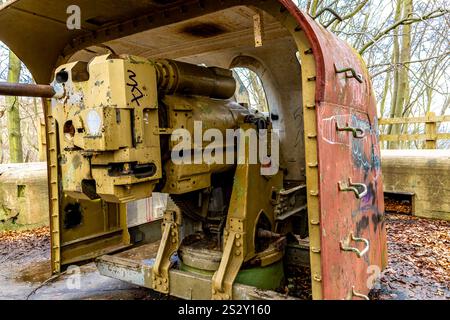 Pozzi di fuoco nella foresta sulla costa di Gdynia, monumenti militari, posizioni di artiglieria, luoghi storici della seconda guerra mondiale Foto Stock