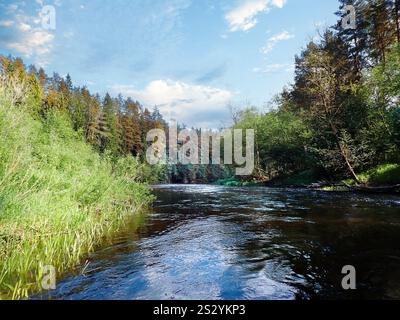 Esplorando la bellezza remota del fiume Volga superiore in Russia Foto Stock