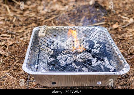 Griglia monouso in alluminio economico con carbone bruciato. Vista laterale. Foto Stock