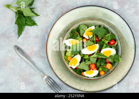 Recipiente con insalata fresca di foglie di ortica, uova e pomodori. Cucinare cibo verde. Spazio per il testo. Foto Stock