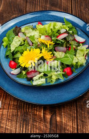 Insalata primaverile di verdure, ravanelli e leoni su tavola rustica in legno. Pianta commestibile. Foto Stock