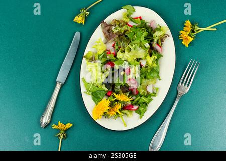 Insalata di verdure, ravanelli e leoni. Pasto di primavera sano. Vista dall'alto. Foto Stock