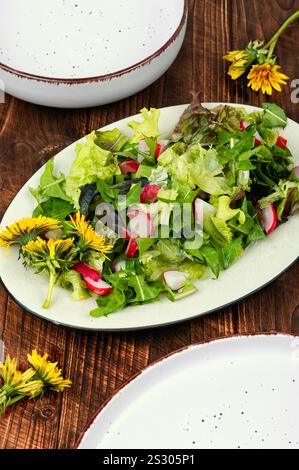 Insalata primaverile di verdure, ravanelli e leoni su tavola rustica in legno. Pianta commestibile. Foto Stock