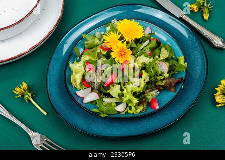 Insalata primaverile di verdure, ravanelli e leoni. Dieta alimentare cruda Foto Stock