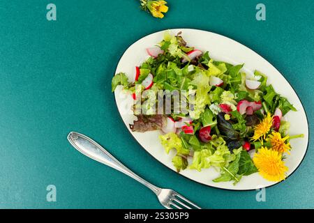 Insalata di erbe di verdure, ravanelli e leoni o taraxacum. Pasto di primavera sano. Copia spazio. Foto Stock