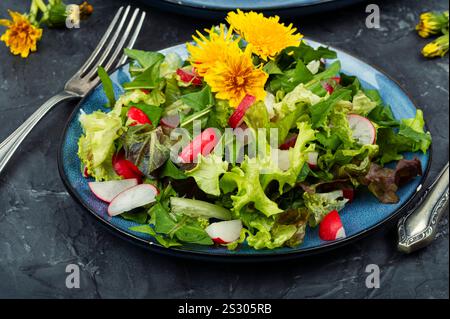 Insalata di erbe primaverili di verdure, ravanelli e leoni. Foto Stock