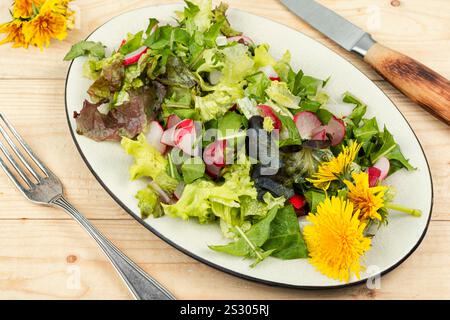 Insalata primaverile di verdure, ravanelli e leoni. Foto Stock