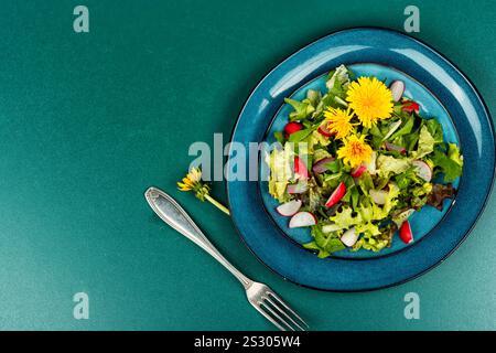 Insalata di erbe di verdure, ravanelli e leoni o taraxacum. Pasto di primavera sano. Copia spazio. Foto Stock
