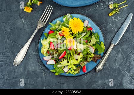 Insalata primaverile di verdure, ravanelli e leoni. Vista dall'alto. Foto Stock