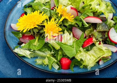 Insalata sana di verdure, ravanelli e leoni. Dieta alimentare cruda Foto Stock