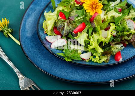 Insalata sana di verdure, ravanelli e leoni. Dieta alimentare cruda Foto Stock