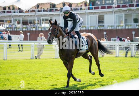 Qatar Goodwood Festival 2024 Day One - Jockey Staffie Osborne nella finale di Raven Foto Stock