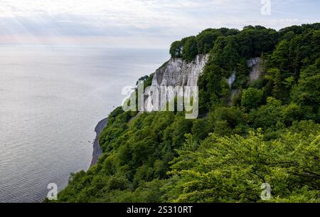 Kreidefelsen auf der Insel Ruegen Kreidefelsen im Nationalpark Jasmund auf der Insel Ruegen Landkreis Vorpommern-Ruegen. Hagen Mecklenburg-Vorpommern Deutschland Foto Stock