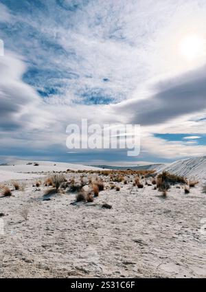 White Sands National Park nel New Mexico Foto Stock