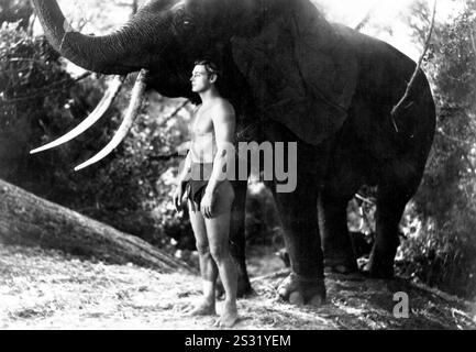 TARZAN SFUGGE AL MGM JOHNNY WEISMULLER data: 1936 Foto Stock