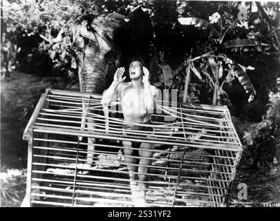 TARZAN SFUGGE AL MGM JOHNNY WEISMULLER data: 1936 Foto Stock