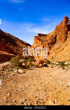 Pendici rosse rocciose della gola di Todra nelle montagne dell'Atlante. Uno dei posti più belli del Marocco. Tinerhir, gola di Todra, Marocco, Africa Foto Stock