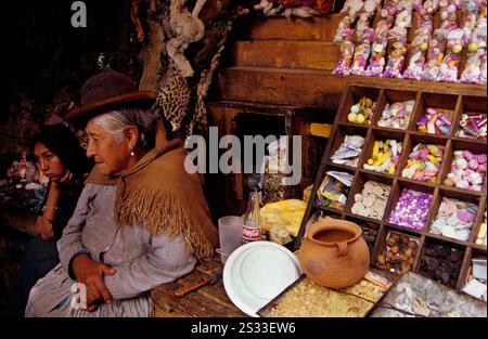 Due donne, di generazioni diverse, in un negozio del mercato delle streghe in via Sagarnaga, la Paz, Bolivia, che espone prodotti e rituali tradizionali. Foto Stock