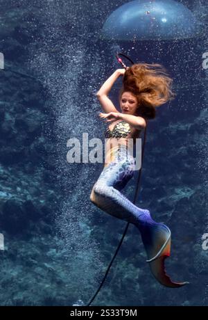 Spettacolo di Sirenette al Weeki Wachee State Park, Florida Foto Stock