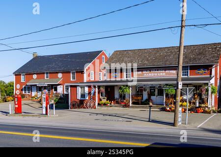 Storiche case in legno con caffetterie e negozi a Bird-in-Hand nella regione olandese della Pennsylvania in Pennsylvania, Stati Uniti Foto Stock