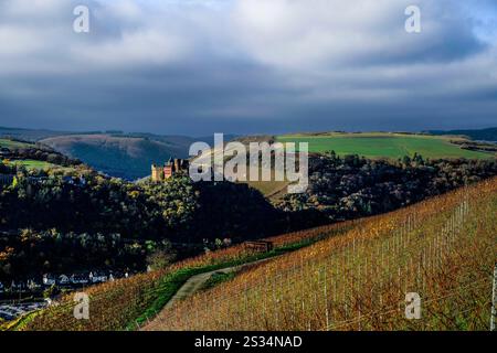 Vista dai vigneti vicino a Kaub fino al Schönburg e alle alture del Reno, Oberwesel, alta valle del Medio Reno, Renania-Palatinato, Germania Foto Stock