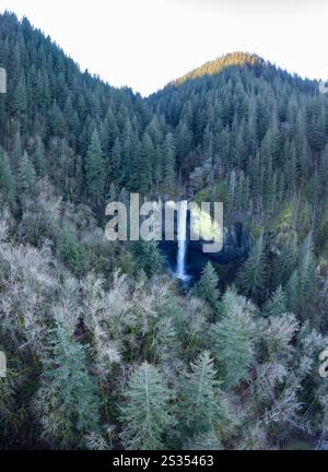 Le imponenti cascate Latourell Falls sgorgano da una foresta sana nella Columbia River Gorge National Scenic area, lungo il confine settentrionale dell'Oregon. Foto Stock