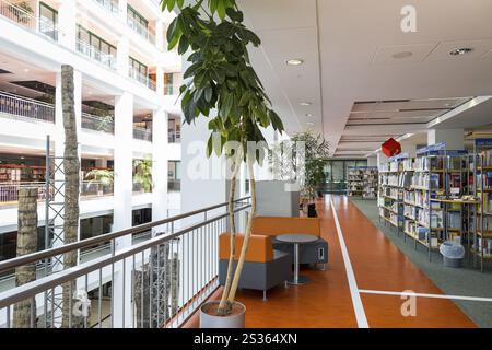 Moderna biblioteca cittadina e foyer con mostra Steinerner Wald nei grandi magazzini culturali DAStietz, Chemnitz, Sassonia, Germania, Europa Foto Stock