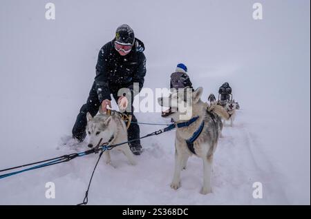 15 luglio 2023, Husavik, Islanda: Una guida organizza un gruppo di hiskies durante un'escursione in slitta trainata da cani in una tundra vicino Husavik. Le gite in slitta offrono un'esperienza davvero notevole per esplorare i paesaggi invernali della parte settentrionale del paese. Utilizzando principalmente Husky siberiani addestrati, noti per la loro resistenza al freddo e la loro capacità di percorrere lunghe distanze, i visitatori possono godersi un'emozionante corsa attraverso la tundra innevata. Guidate da esperti locali, queste escursioni non solo consentono ai viaggiatori di ammirare la bellezza naturale della regione, ma anche di interagire con i cani, imparando di più abou Foto Stock