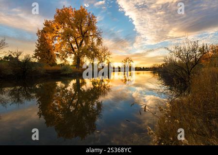 Tramonto autunnale dorato su un lago riflettente con alberi vibranti Foto Stock