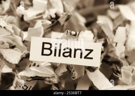 Frammenti di carta con bilancio per parole chiave, foto simboliche per la distruzione dei dati, il bilanciamento e l'analisi economica Austria Foto Stock