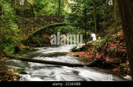 Ponte di pietra nel Whatcom Falls Park nello stato di Washington Foto Stock