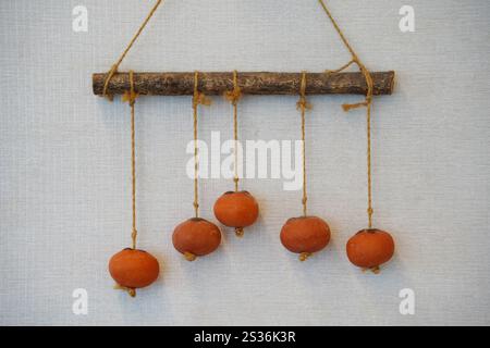 Cachi appesi su una corda su un muro bianco della stanza Foto Stock