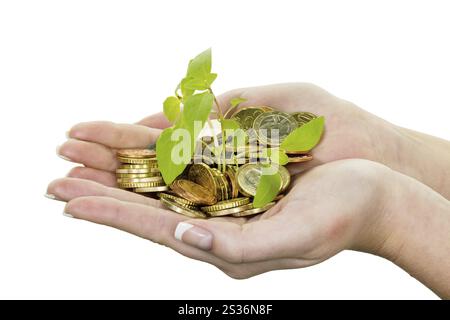 Mani con soldi e piante. Foto simbolica per la crescita del capitale attraverso l'interesse durante il salvataggio. Austria Foto Stock