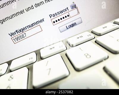 La password viene richiesta sul monitor di un computer quando si accede all'online banking. Austria Foto Stock