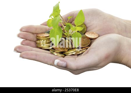 Mani con soldi e piante. Foto simbolica per la crescita del capitale attraverso l'interesse durante il salvataggio Foto Stock