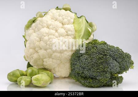 Freschi Cavolfiori e cavoli broccoli Cavoletti di Bruxelles isolati su sfondo bianco Foto Stock