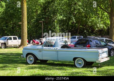 Un pick-up Ford F-100 Custom Cab blu chiaro del 1966 sull'erba di un parco di Auburn, Indiana, USA. Foto Stock