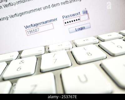 La password viene richiesta sul monitor di un computer quando si accede all'online banking. Austria Foto Stock