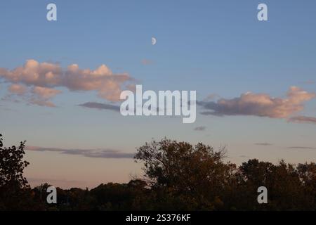 primo quarto di luna in alto nei cieli blu sopra nuvole e alberi sparpagliati Foto Stock