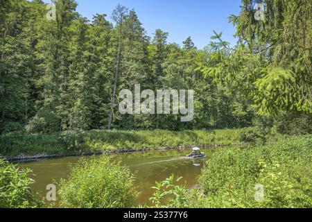 Motoscafo, Lahntal vicino a Weinbach-Graeveneck, distretto Limburg-Weilburg, Assia, Germania, Europa Foto Stock