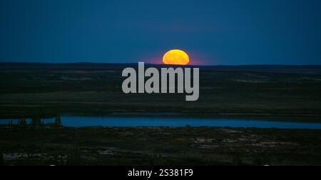 Lunare alle Barrenlands, vicino al lago Whitefish, territori del Nord-Ovest, Canada. Foto Stock