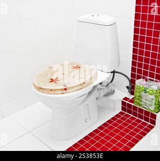 il bagno era bello e moderno. bagno moderno con wc Foto Stock