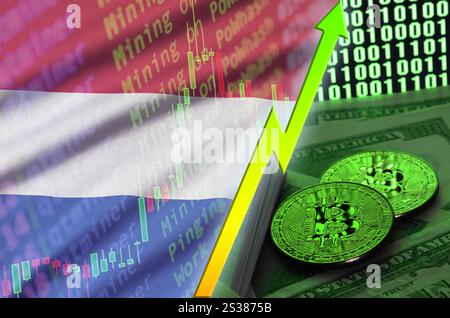 Trend di crescita della bandiera olandese e della criptovaluta con due bitcoin sulle banconote in dollari e visualizzazione del codice binario. Concetto di aumentare il prezzo di Bitcoin e.. Foto Stock