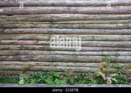 Capanna in legno o fienile non verniciato parete sbucciata sfondo orizzontale testurizzato primo piano. Capanna in legno o fienile non verniciato muratura decorata orizzontale Foto Stock